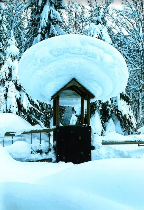 Merryshof Sankt Ulrich am Pillersee Exteriör bild