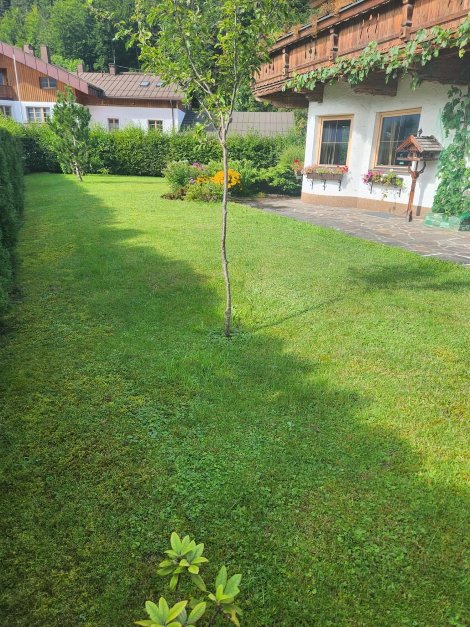 Merryshof Sankt Ulrich am Pillersee Exteriör bild